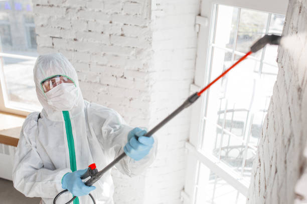 Forensic Mold Investigation in Oak Grove, OR