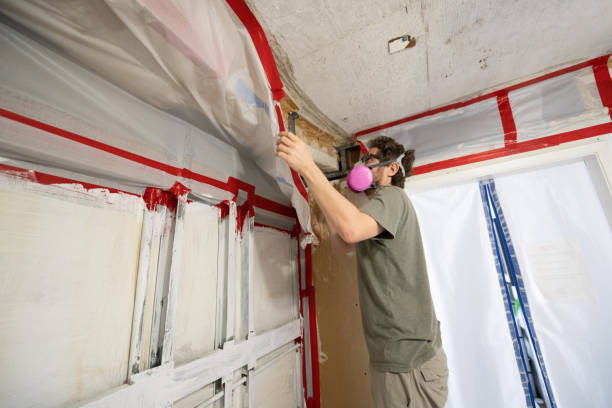 Mold Remediation for Vacation Homes in Oak Grove, OR