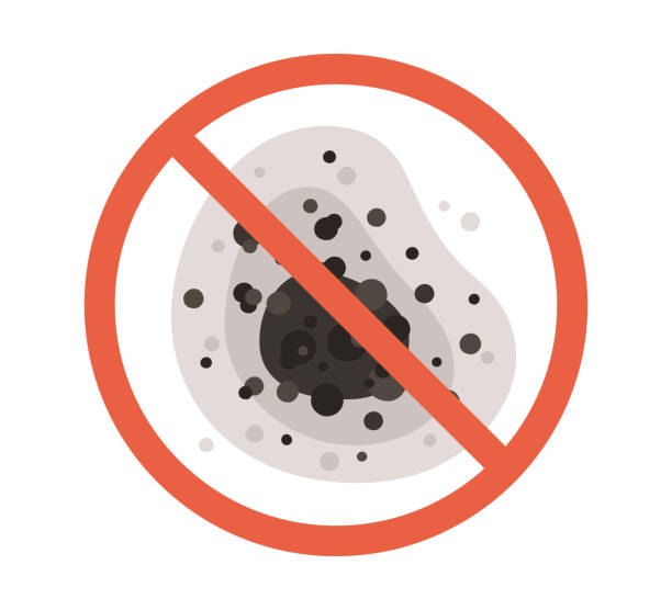 Biohazard Mold Removal in Oak Grove, OR